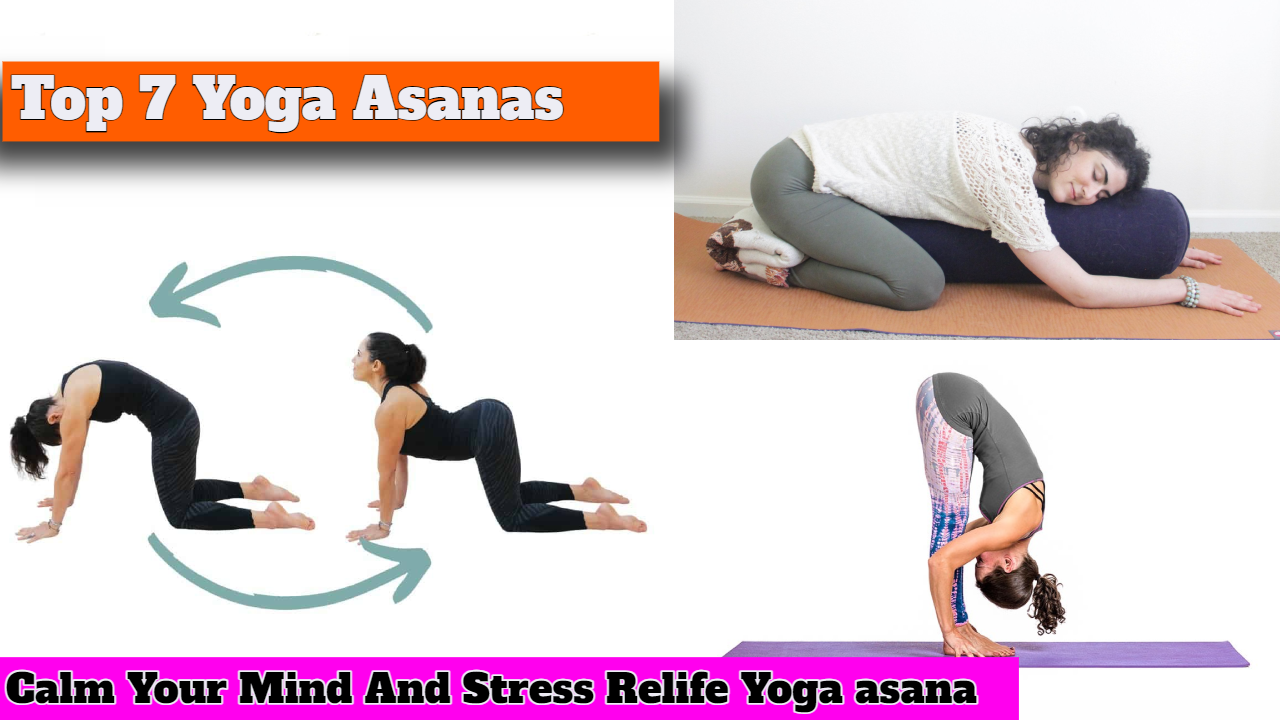 Stress relief yoga asanas help calm the mind, reduce anxiety, and promote relaxation. Here are some effective yoga poses